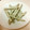 Yunmeiryu's cooksnap of when they made 子供のおやつ☆簡単♪揚げないかりんとう☆.