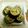 ティラノ〜's cooksnap of when they made 子供が喜ぶのり巻き揚げ♪.