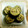 ティラノ〜's cooksnap of when they made 子供が喜ぶのり巻き揚げ♪.