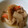igasan36's cooksnap of when they made 大根とちくわの煮物.