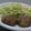 ☆YRS☆'s cooksnap of when they made 簡単！厚揚げと玉ねぎの照り焼きハンバーグ.