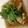 aotkc's cooksnap of when they made 簡単おつまみ☆あさりの酒蒸し.