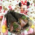 みなみんくっきんぐ's cooksnap of when they made わかめ入り酢飯の手巻き寿司.