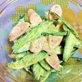 馬堀海岸's cooksnap of when they made 魚肉ソーセージと胡瓜のサラダ.