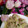 りりり♪'s cooksnap of when they made ✾皮なし☆キャベツの焼売✾.