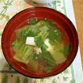 boutoneige's cooksnap of when they made ちんげん菜で中華スープ.