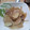 hamanny's cooksnap of when they made 簡単！皮ごと！大根とじゃがいものおつまみ.