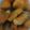 msy0730's cooksnap of when they made 鮭の唐揚げ.