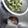 みらぁ's cooksnap of when they made 焼きブロッコリー.
