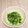 Miomayuka's cooksnap of when they made 簡単☆ 大根葉のごま油炒め.