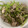 クックZAC33G☆'s cooksnap of when they made 大量消費！みつばと豚挽肉の炒め煮.