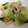 かずチョコぴ's cooksnap of when they made エビ入り簡単青菜炒め.