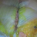 みゆりん姫's cooksnap of when they made 鮭白菜蒸.