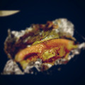 らぶりん510's cooksnap of when they made 鮭のちゃんちゃん焼き.