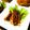苺♡ストロベリー's cooksnap of when they made いかげそのガーリックバターソテー.