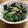 単！！'s cooksnap of when they made 韓国海苔和えほうれん草ナムル.