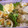ramoco's cooksnap of when they made 出汁がたっぷり　出汁巻き卵.