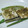 鈴ピヨ's cooksnap of when they made サメといんげんのディル蒸し.
