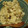 ボブナナ's cooksnap of when they made ごぼうと椎茸の豆腐和え.
