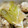 HIRO＆PIRO's cooksnap of when they made とり団子のみぞれ煮.