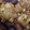 わらびもちこo's cooksnap of when they made もちもち！里芋と鶏そぼろ揚げ！.
