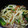 生誕１９７３年独身男's cooksnap of when they made さっぱり♪梅塩焼きうどん.