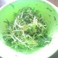 heroff's cooksnap of when they made アボカドと水菜の和風サラダ.