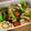はなぴっち's cooksnap of when they made 下味しっかり！我が家流✱お煮しめ 筑前煮.