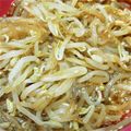 れいんく's cooksnap of when they made *＊°もやしのナムル°＊*.