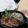 葵吹雪's cooksnap of when they made 豚ステーキ たまねぎソースかけ.