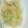 かこいちご's cooksnap of when they made 白菜と塩麹を卵とじ.