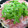 atoyu's cooksnap of when they made 簡単早い！もやしのヘルシー蒸し鍋.