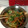 はまとろろ's cooksnap of when they made オイスターソースの野菜炒め.