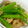 はははあ's cooksnap of when they made ★れんこんといんげんDEきんぴら.