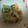 お休み大好きママ's cooksnap of when they made さっぱり！新ごぼうの和風サラダ.