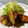 ひなコアラ's cooksnap of when they made ごはんがすすむよ☆鱈の生姜焼き.