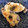薮みか's cooksnap of when they made 殻牡蠣の味噌マヨグラタン♪.