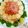 †かなたろう†'s cooksnap of when they made チーズとろとろ♪ ミートローフ.