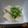 メーさん's cooksnap of when they made 寒天で簡単ごま豆腐.