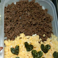 ハニーJ's cooksnap of when they made 簡単！鶏そぼろ〜お弁当に便利〜.