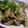 にゃぁくん's cooksnap of when they made ナスと豚肉の甘辛煮.
