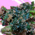 このみ☆彡's cooksnap of when they made ほうれん草のごま×ゴマおひたし.