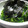 りえおさん's cooksnap of when they made 三つ葉の海苔和え✿柚子こしょう風味✿.