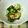 タッタンタント's cooksnap of when they made 簡単！キュウリとチクワの塩昆布和え♪.