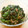 森のリラックマ's cooksnap of when they made ほうれん草のごま和え.
