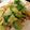 ajaco67's cooksnap of when they made 簡単朝食☆ブロッコリーのクレソル炒め.