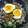 kana0623's cooksnap of when they made ◇ちょー簡単！格安！ビビンバ風◇.