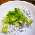 ユーロン's cooksnap of when they made ☆塩麹DEしらすおろし☆.