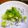 ユーロン's cooksnap of when they made ☆塩麹DEしらすおろし☆.