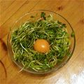 レンルカ's cooksnap of when they made 1分で出来る☆シンプルかいわれサラダ.